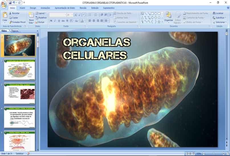 organelas-celulares