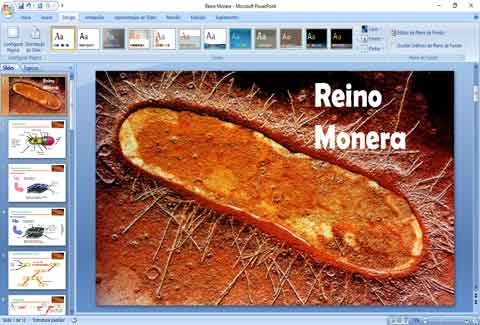 Reino-Monera Slides