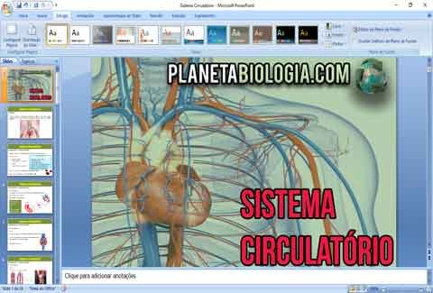 Sistema-circulatório
