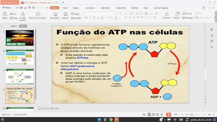 Slide sobre ATP