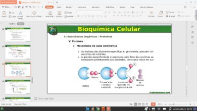slide sobre bioquímica celular