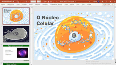 slide - núcleo celular - Arquivo em pptx